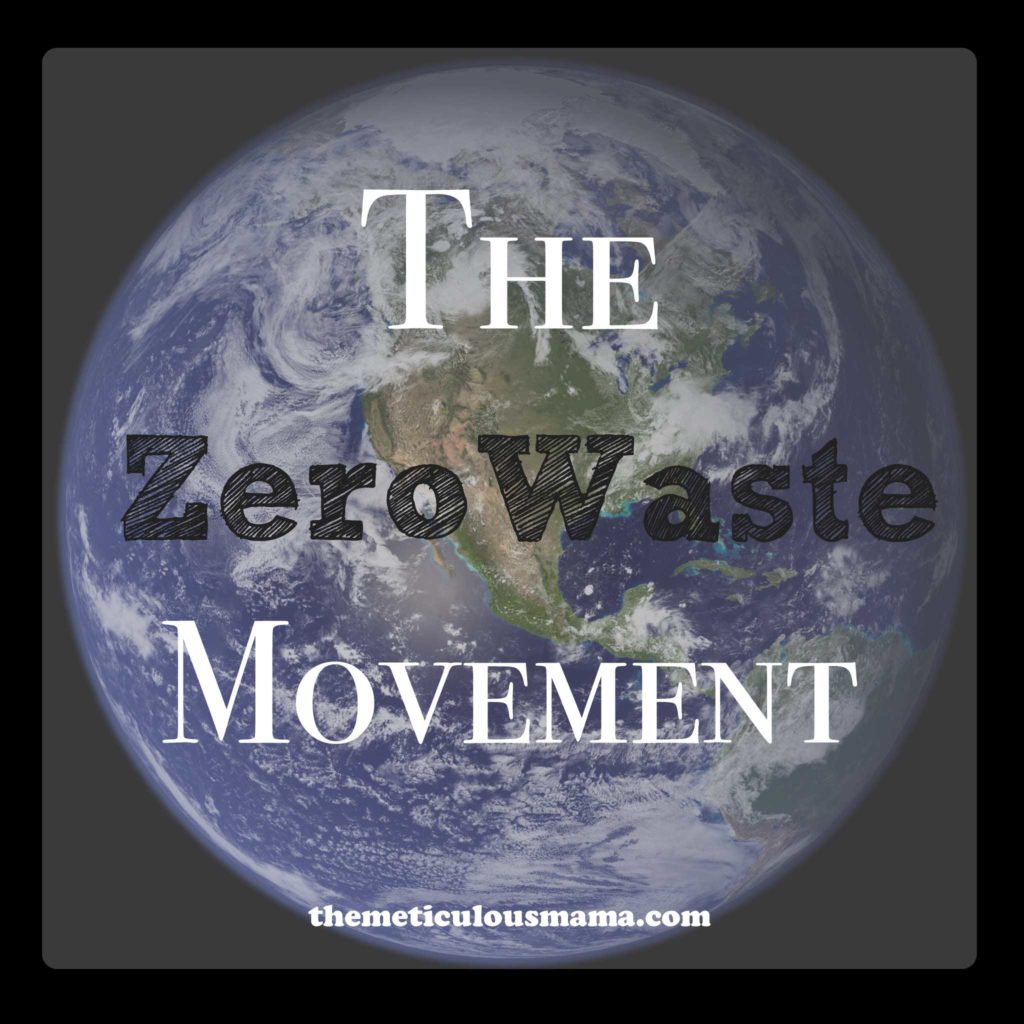 The Zero Waste Movement Suzanne Jaochico